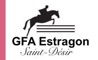 GFA Estragon